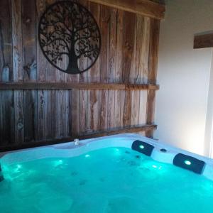 Gîte jacuzzi La Libellule en Périgord