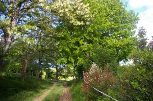 Gîte l'appel de la Forêt