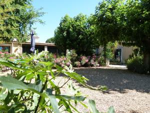 Gîte L'Oliveraie