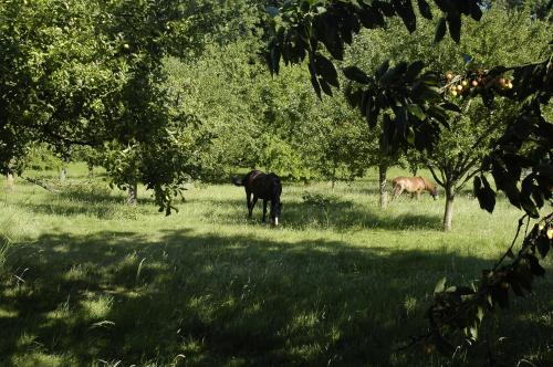 Gîte LA BERGERIE