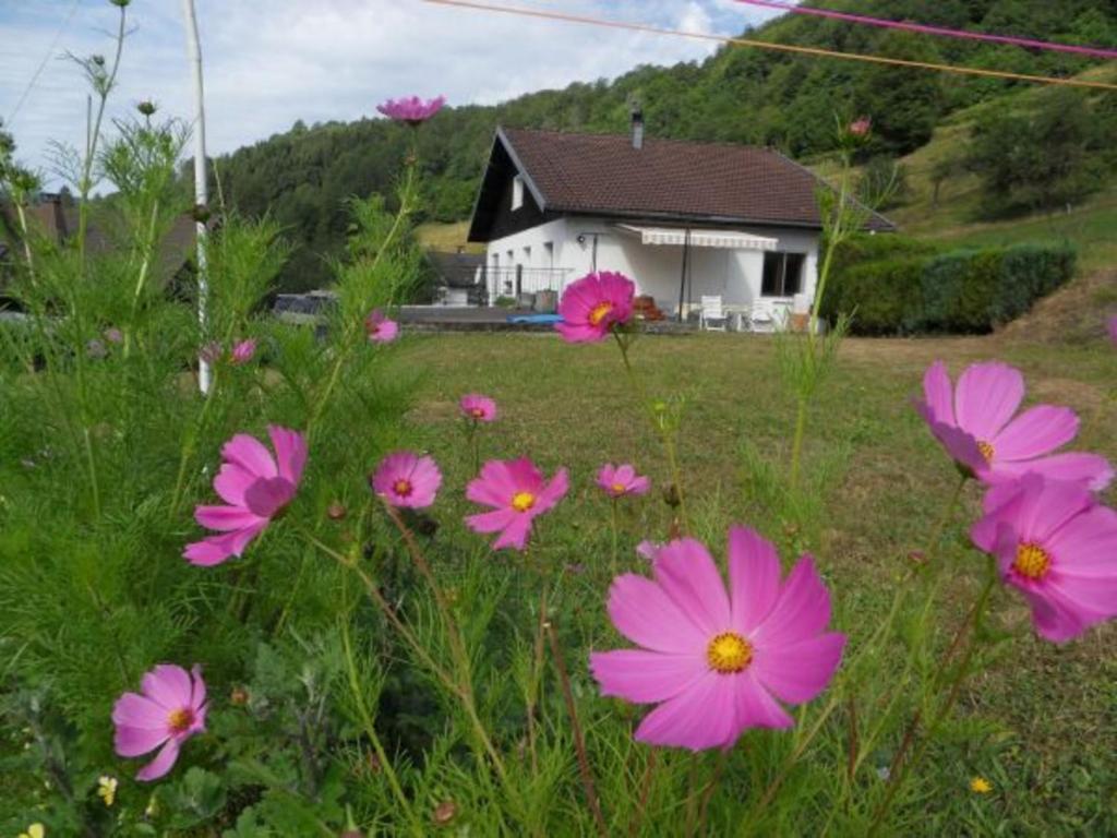 Maison de vacances Gîte La Bresse, 2 pièces, 3 personnes - FR-1-589-168 6, route de Niachamp 88250 La Bresse