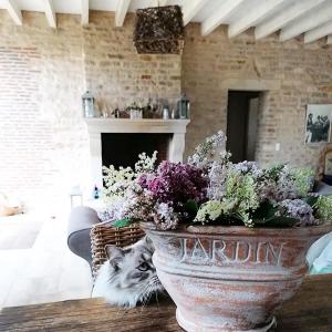 Gîte La Maison De Lucien