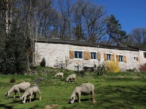 GITE LA PETITE FENIAL