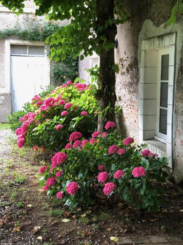 Gîte La Sellerie