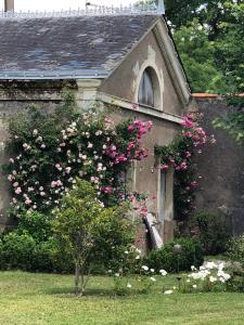 Gîte La Sellerie