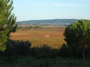 Maison de vacances Gite la Tour 3 bis Avenue de Causse 11700 Pépieux Languedoc-Roussillon