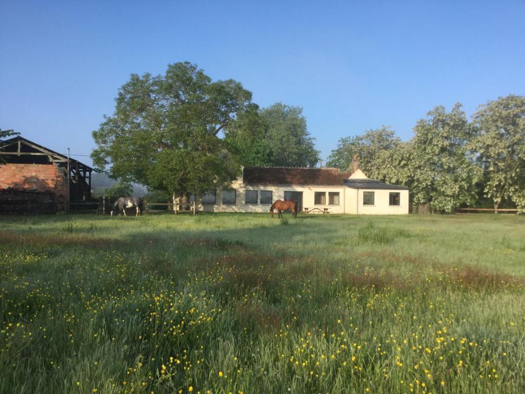 Gîte : La vieille bâtisse.