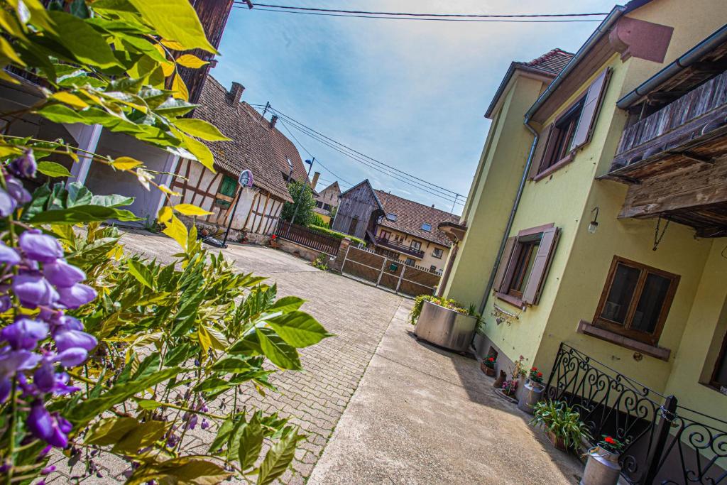 Maison de vacances Gîte le coeur d'Alsace 11 Rue Weiss 67860 Boofzheim
