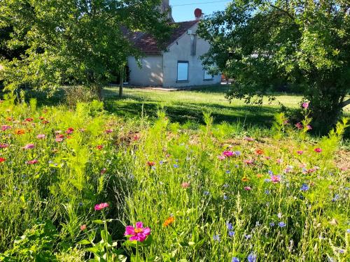 Gîte le grand bois
