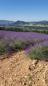 Maison de vacances Gîte Le Lavandin 6 Rue de la Coueste 04290 Volonne Provence-Alpes-Côte d\'Azur