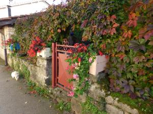 Maison de vacances gite le marguerite 183 rue du molard 39160 Balanod Franche-Comté