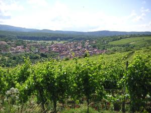 Gite Le Petit Moulin