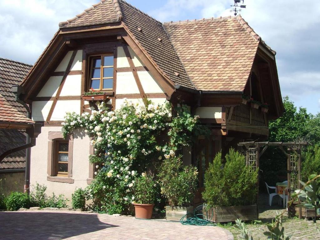 Maison de vacances Gîte Les Cerisiers 44 Rue du Scheibenberg 67220 Triembach-au-Val