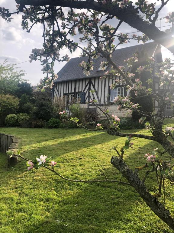 Gîte 'les matins calmes ' 0 165 rue de la charité, 14140 Cheffreville-Tonnencourt