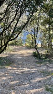 Gite les Oliviers - Le Domaine du Viticulteur - St Maurice d Ibie