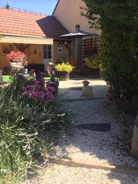 Gîte Ligné, 5 pièces, 9 personnes - FR-1-306-866 44850 Ligné