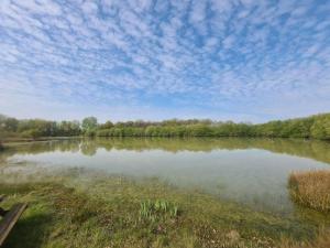 Gîte Lingé, 4 pièces, 7 personnes - FR-1-591-313