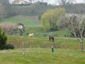 Gîte Mugron, 4 pièces, 6 personnes - FR-1-360-424