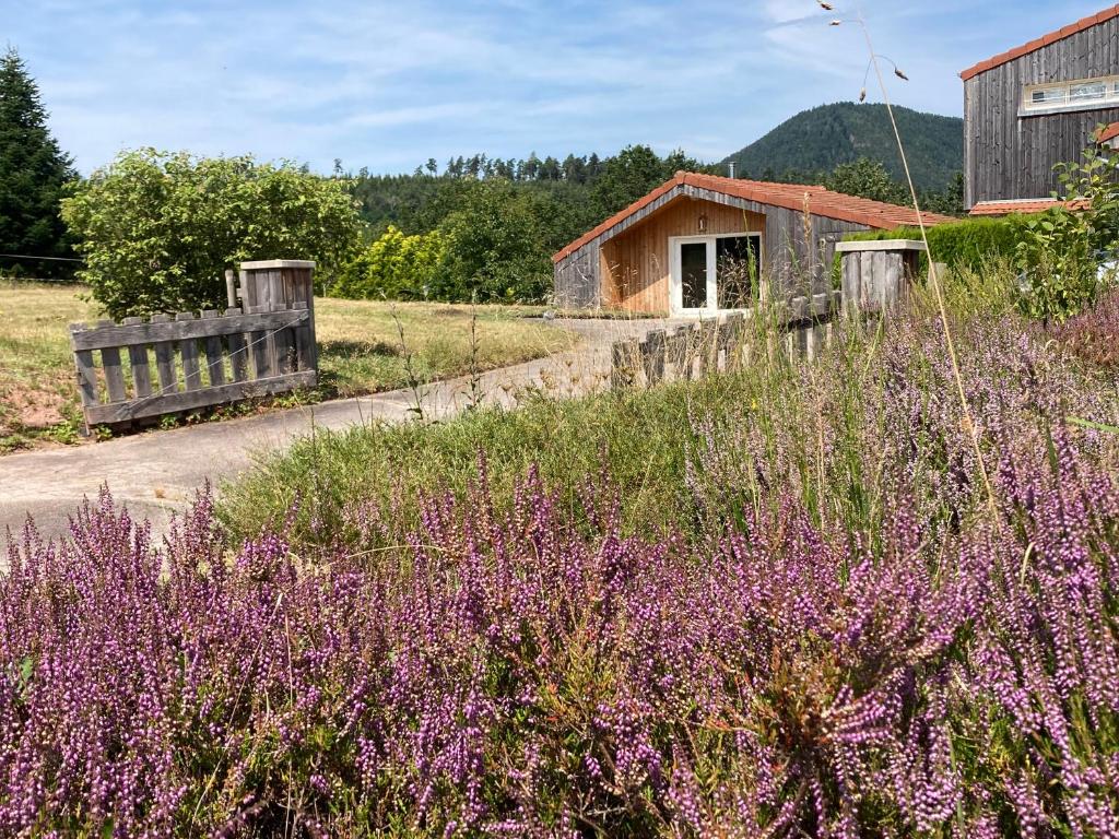 Gîte Pavillon Flavia 84110 Vaison-la-Romaine