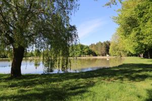 Gîte plein cœur de Sologne