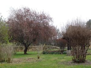 Maison de vacances Gîte pour 4 personnes - Dordogne Domaine de Lamaurénie 24510 Bressac Aquitaine