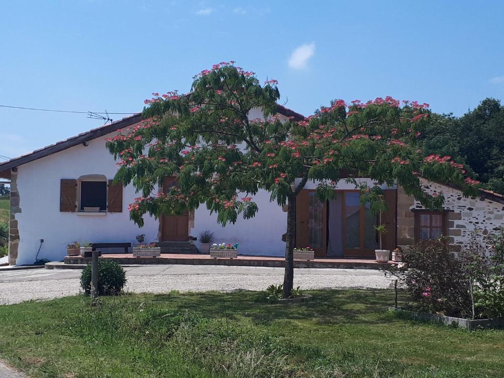 Gîte Pouton Gîte Pouton 367 Chemin de Gouarry, 40320 Saint-Loubouer