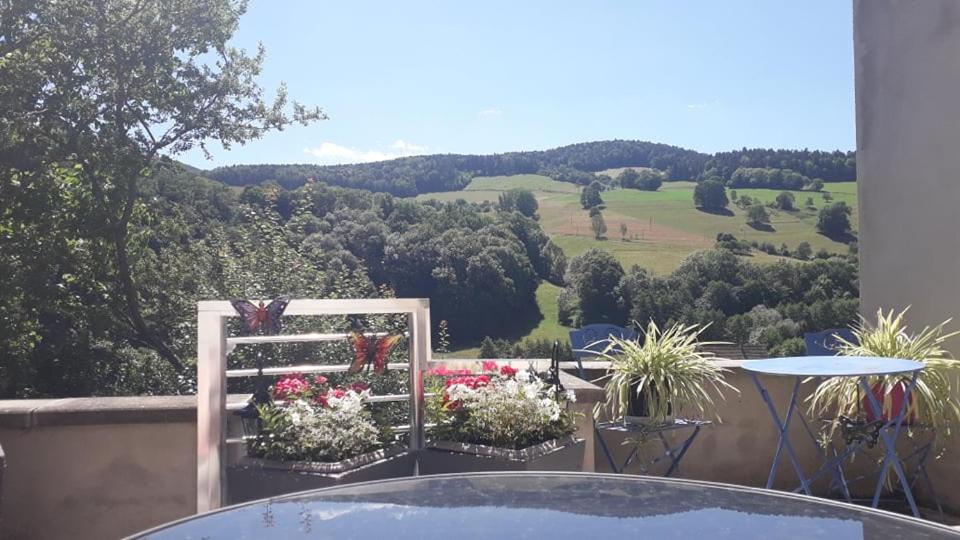 Maison de vacances Gite proche de Kaysersberg avec jacuzzi privé 22 Rue Lefébure 68370 Orbey