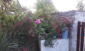 Gîte Rouge Calme et Nature