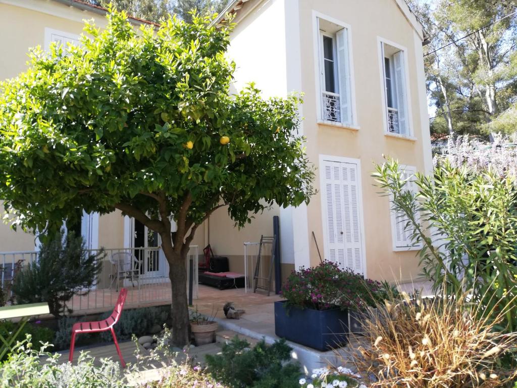 Gite S'Hiesla 68800 Rammersmatt