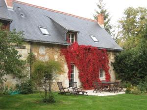 Maison de vacances Gîte Saint-Benoît-la-Forêt, 4 pièces, 6 personnes - FR-1-381-188 3 Grammont - GÃ®te De Grammont -  - 37500 Saint-Benoît-la-Forêt Région Centre