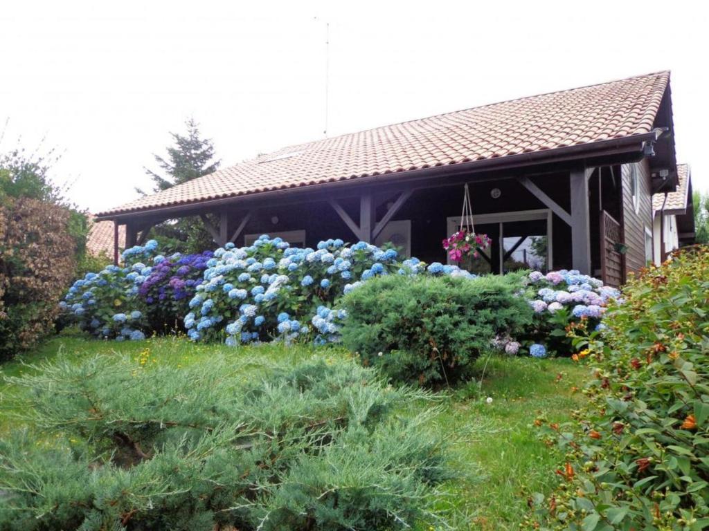 Maison de vacances Gîte Saint-Geours-de-Maremne, 3 pièces, 4 personnes - FR-1-360-324 82 AllÃ©e Du ClÃ©don -  - 40230 Saint-Geours-de-Maremne