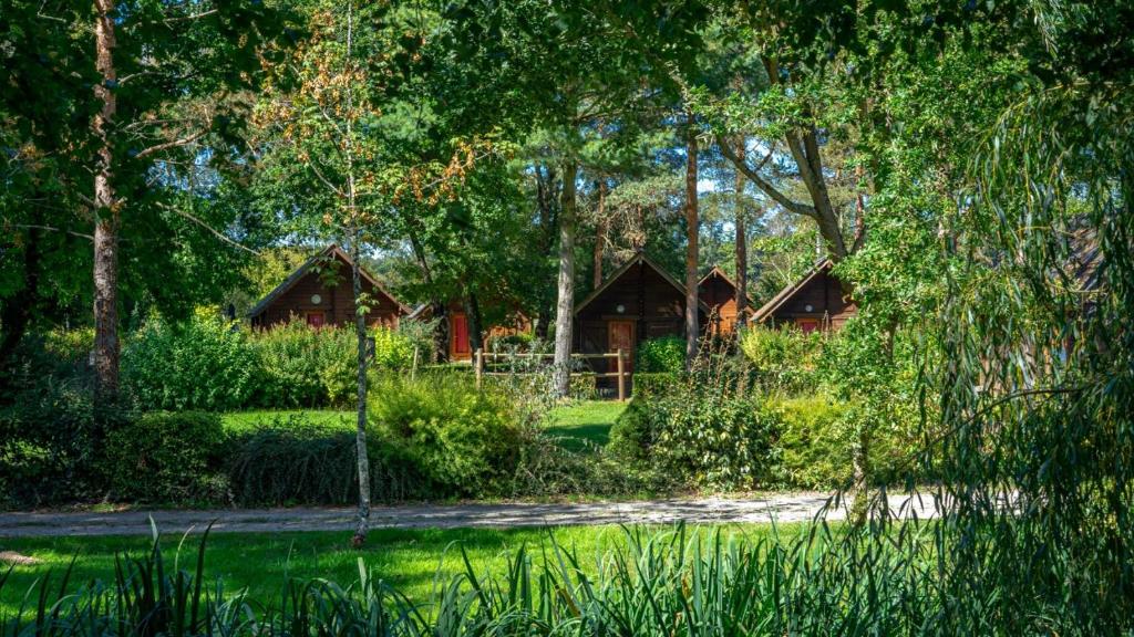Gîte Saint-Héand, 3 pièces, 4 personnes - FR-1-496-130