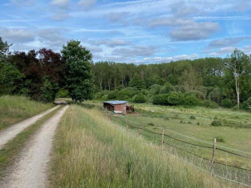 Gîte Saint-Lubin-en-Vergonnois, 3 pièces, 5 personnes - FR-1-491-315