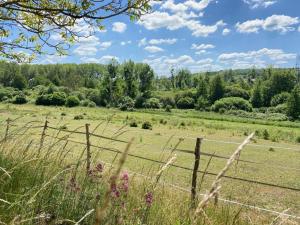 Maison de vacances Gîte Saint-Lubin-en-Vergonnois, 3 pièces, 5 personnes - FR-1-491-315 La Courtillière 34 route de Saint Bohaire 41190 Saint-Lubin-en-Vergonnois Région Centre