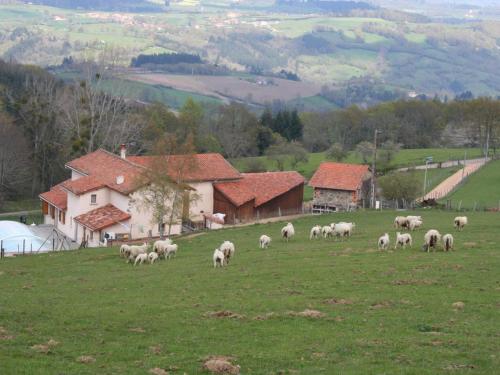 Gîte Saint-Martin-la-Sauveté, 7 pièces, 12 personnes - FR-1-496-178