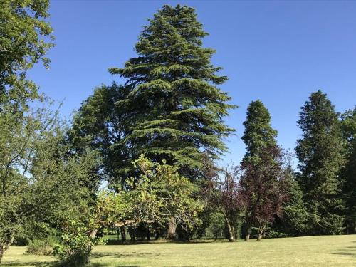 Gîte Savignac-les-Églises, 4 pièces, 8 personnes - FR-1-616-216