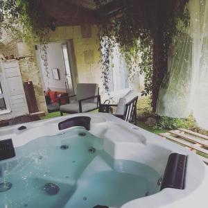Gîte spa privé entre Zoo de Beauval et Futuroscope