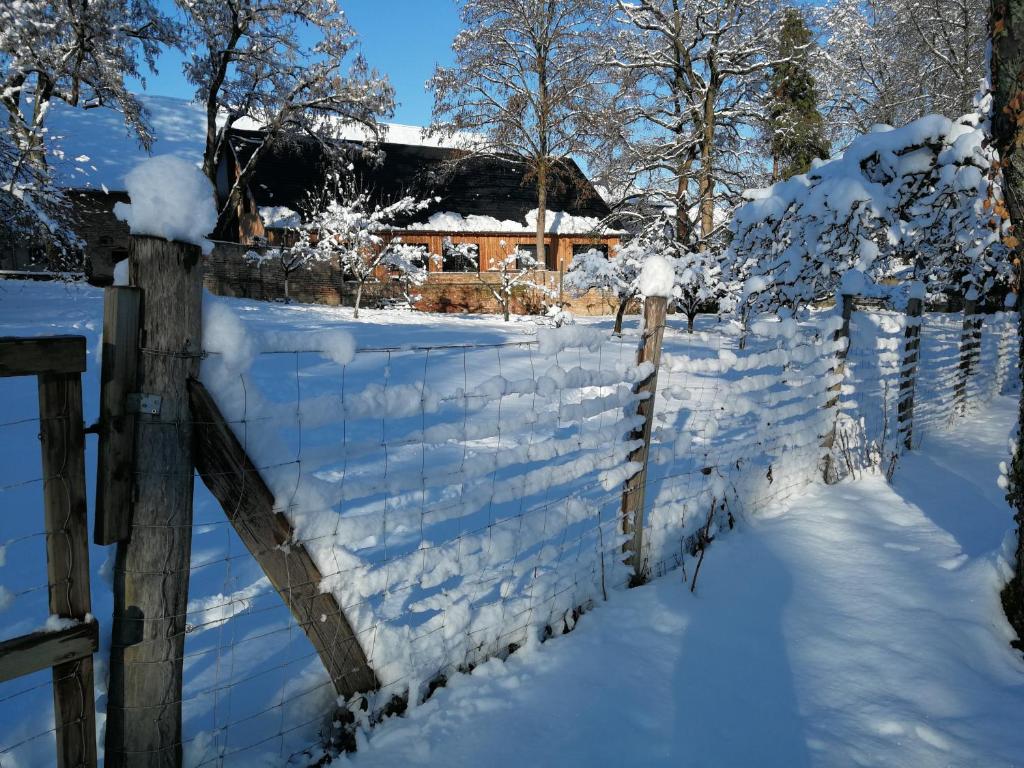 Maison de vacances Gite spacieux et cosy à la campagne proche de Strasbourg 8 Rue de Holtzheim 67204 Achenheim