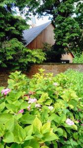 Maison de vacances Gite spacieux et cosy à la campagne proche de Strasbourg 8 Rue de Holtzheim 67204 Achenheim Alsace
