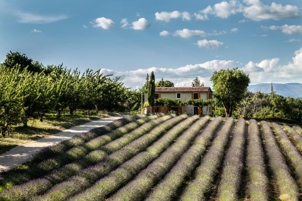Gîte St Roch en Luberon 12, Chemin de St Roch, 84400 Castellet