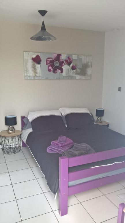 Gîte Studio Tarbes Pyrénées 23 Rue Joachim du Bellay, 65000 Tarbes