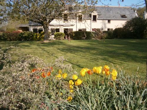 Gîte Thoiré-sur-Dinan, 7 pièces, 14 personnes - FR-1-410-337