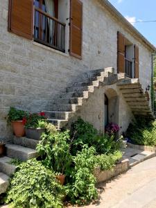 Maison de vacances Gite U fragnu di Peruccio Allée des Tilleuls 20170 Levie Corse