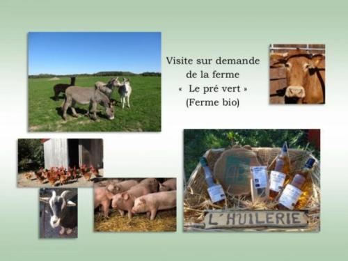 Gîte Vrécourt, 3 pièces, 5 personnes - FR-1-589-245