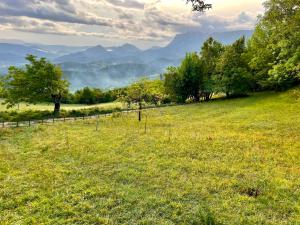 Maison de vacances Gîtes du Puyjovent - Côté Vallée - à 15 minutes de Crest, vue panoramique, calme 2400 Route de Pigeovent 26400 Piégros-la-Clastre Rhône-Alpes