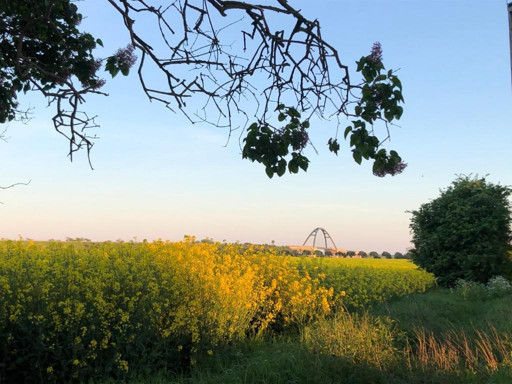 Gönnerbude Fehmarn Strukkamp 46, 23769 Fehmarn