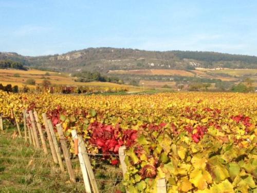 Grand family home in the heart of Burgundy!