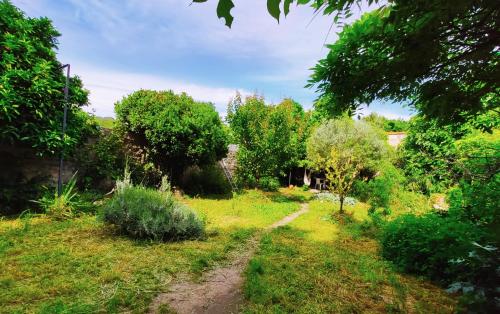 Grande maison avec jardin en coeur de ville