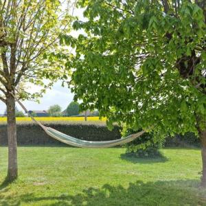 Maison de vacances Grande Maison de plain pied avec jardin arboré. Pré Joli 89350 Champignelles Bourgogne