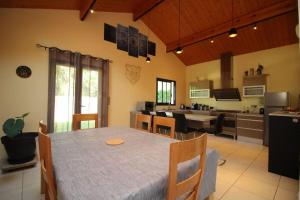 Maison de vacances Grande villa contemporaine proche randonnée et ski 12 Chemin de Mariotte 09220 Vicdessos Midi-Pyrénées